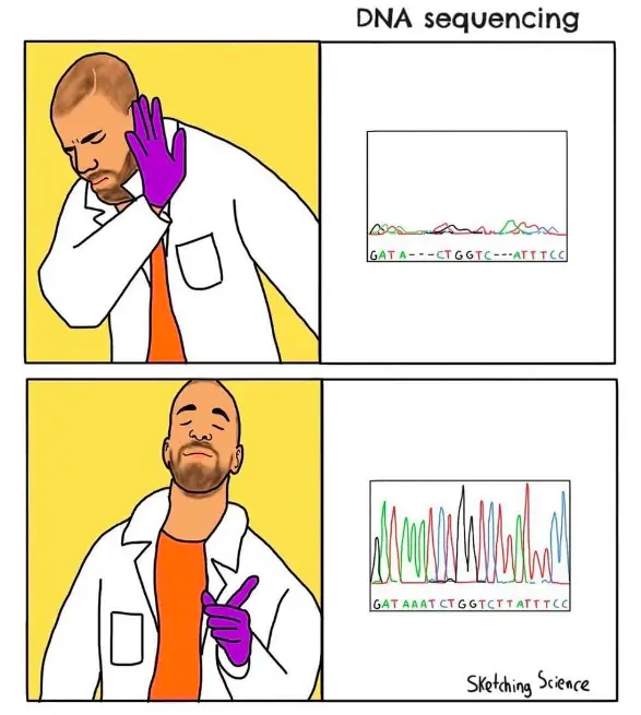 Sanger sequencing meme. 