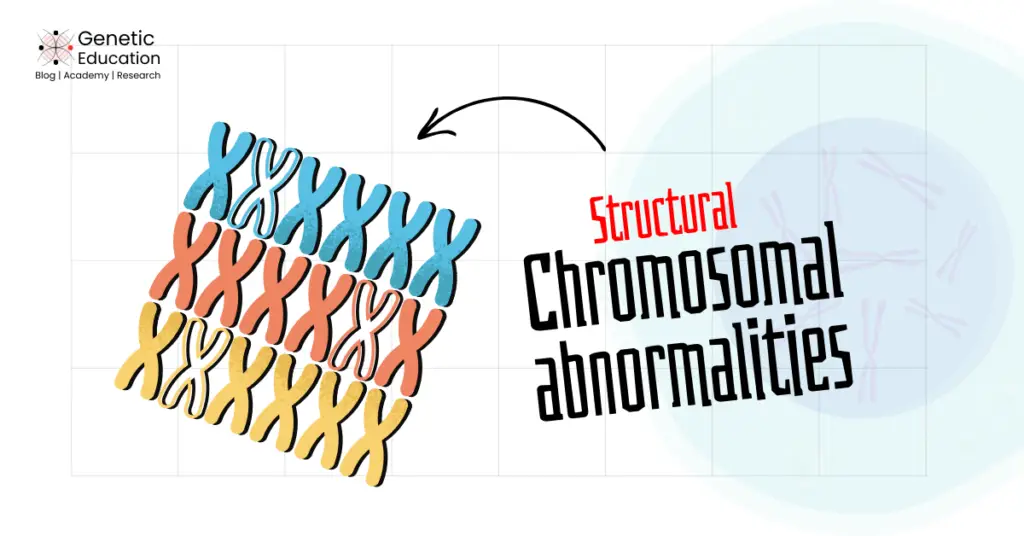 Illustration of structural chromosomal abnormalities.