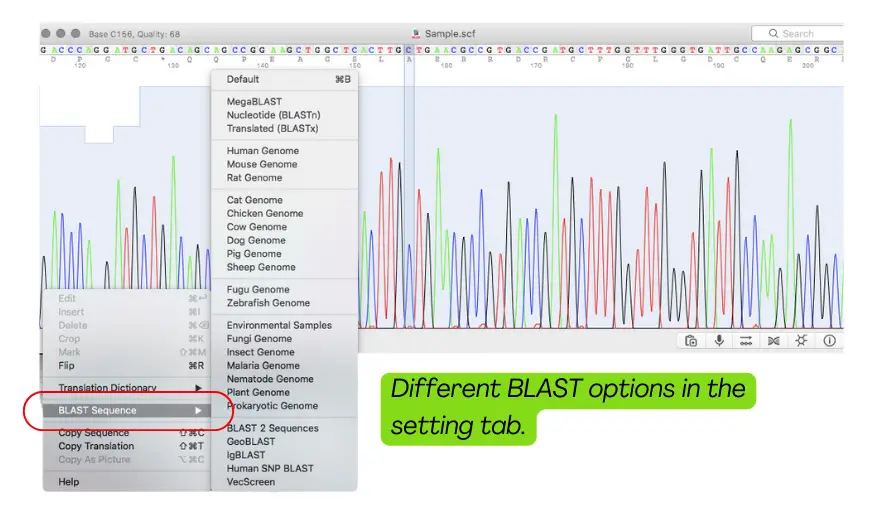4Peaks screenshot showing the BLAST options.