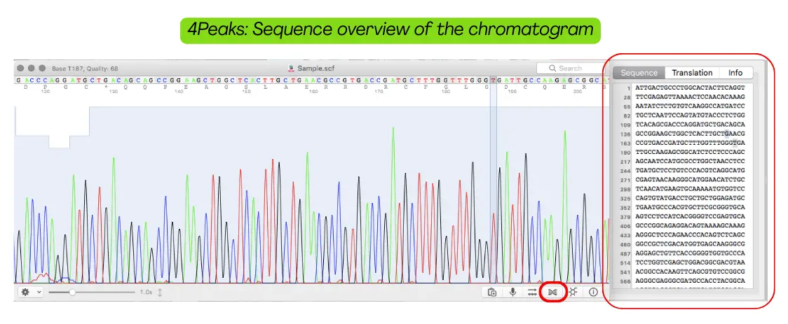 4Peaks software showing the sequence information.