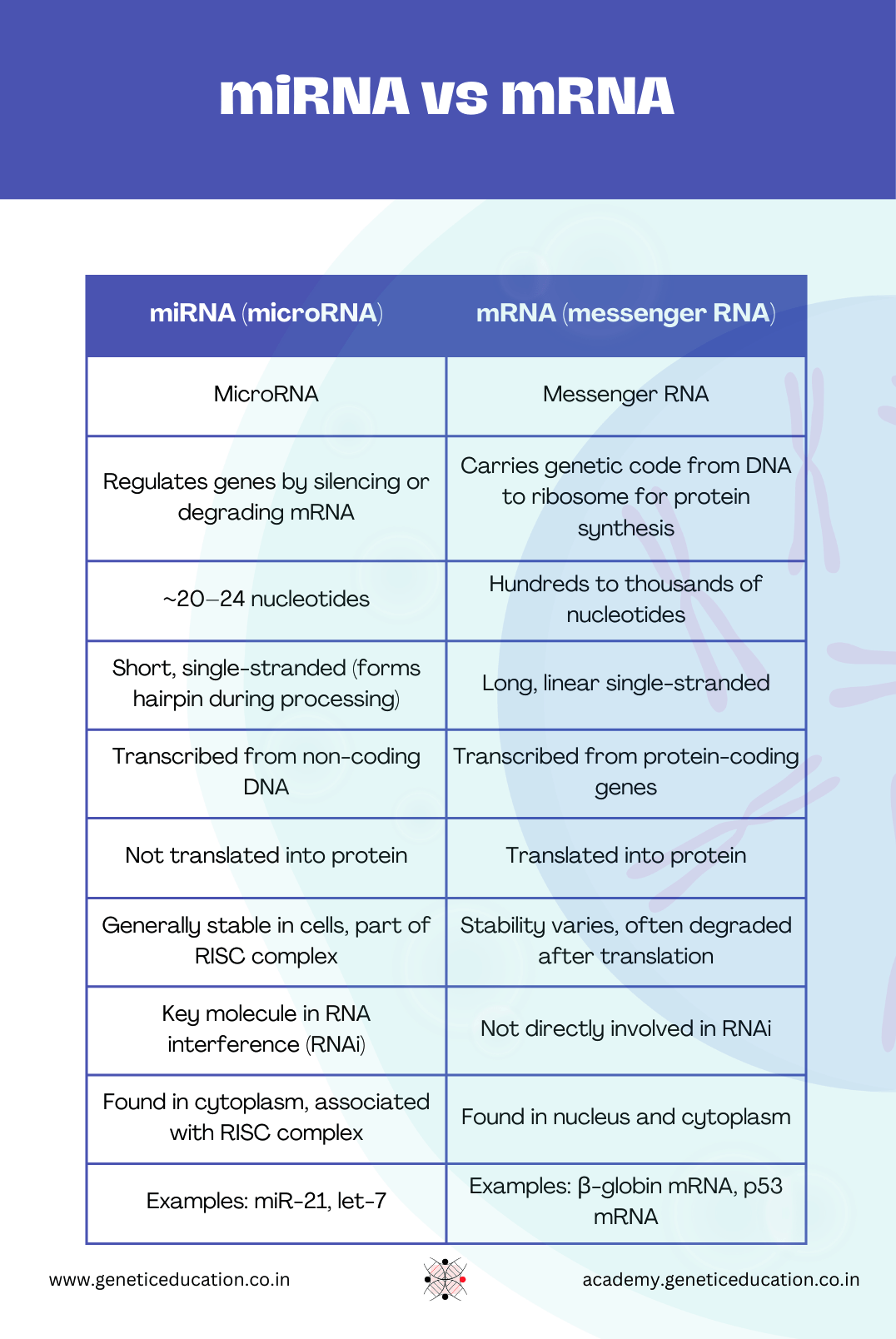 Differences between miRNA vs mRNA