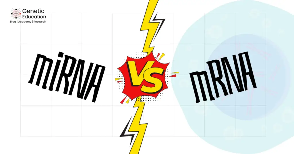 differences and similarities between miRNA and miRNA