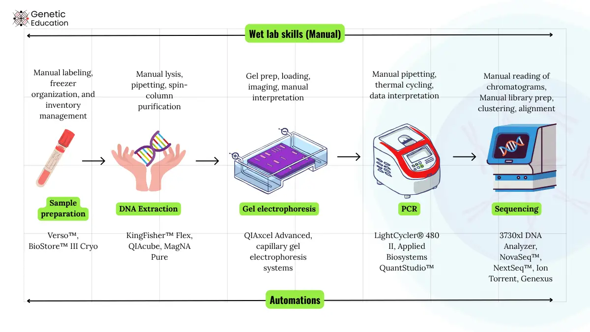 Image explain wet lab skills replaced by automation.