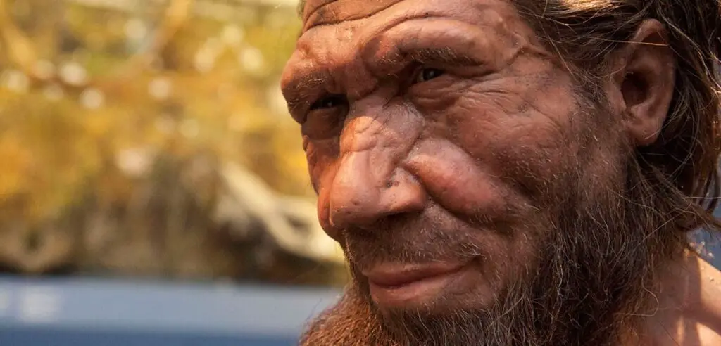 The image of Neanderthal face from the natural history museum, London.