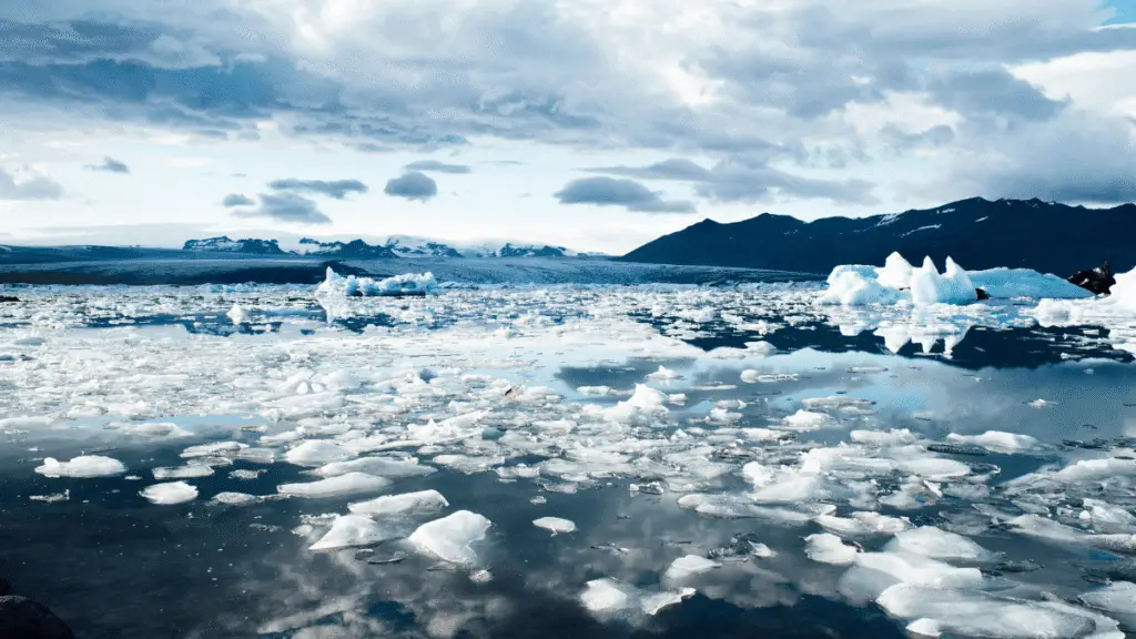 This image is used to show the climate change and genetic diversity.