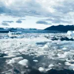 This image is used to show the climate change and genetic diversity.