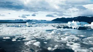 This image is used to show the climate change and genetic diversity.