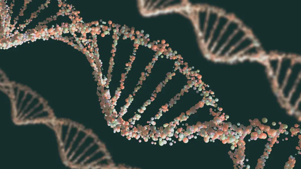 Image of DNA used to show evolution and gene expression.
