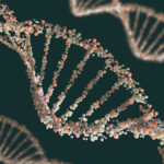 Image of DNA used to show evolution and gene expression.