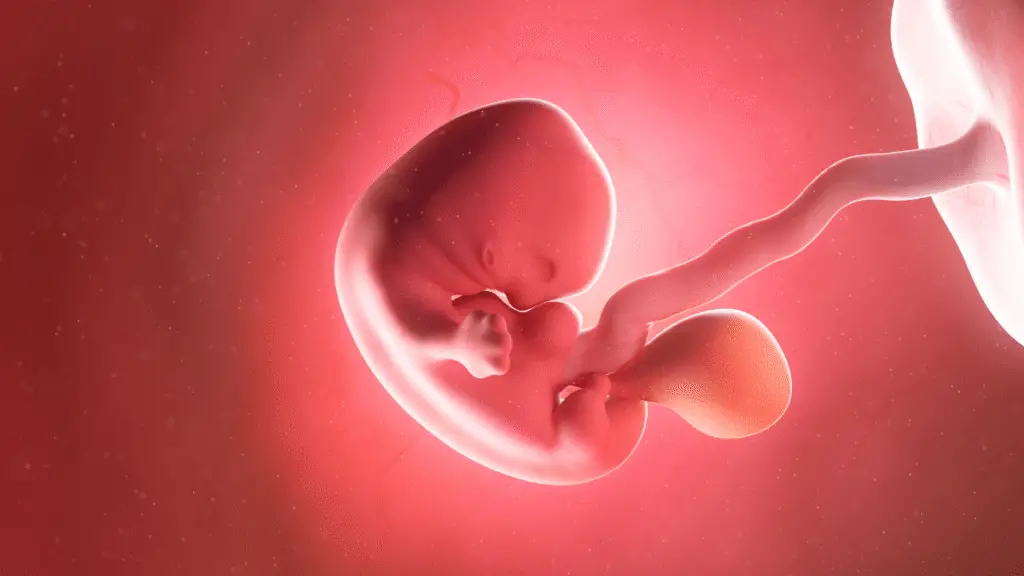 Article on the daily habit of during pregnancy that damages fetal DNA.