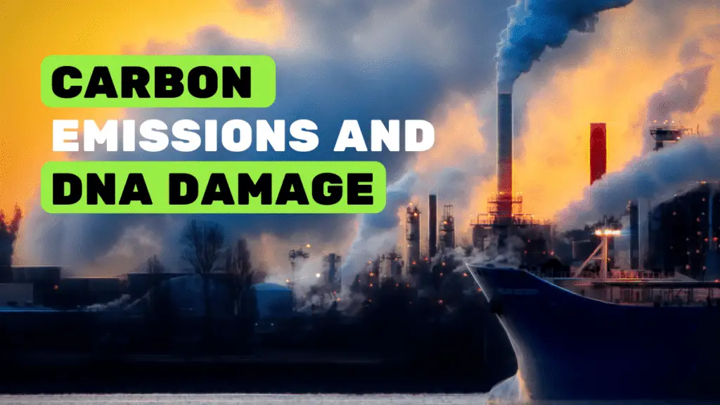 Image used for the article on how carbon emissions affect our genetic health