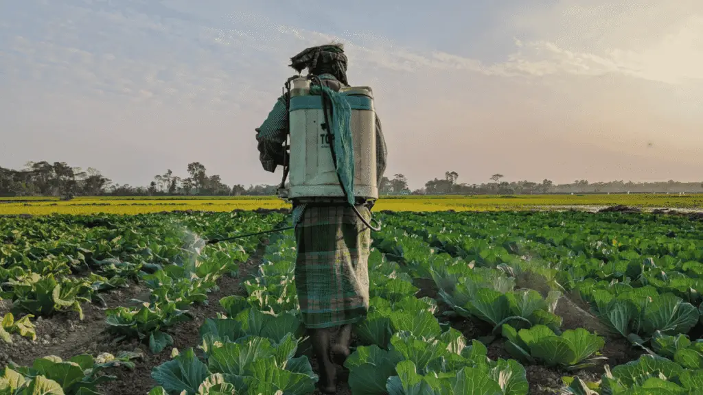 Farmer spraying chemical fertilisers and pesticides on crops, linked to DNA damage in vegetables and human health risks.