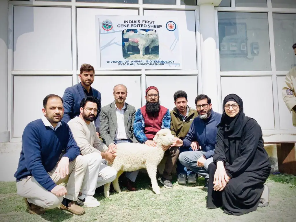 Kashmir scientists team who developed CRISPR edited sheep.