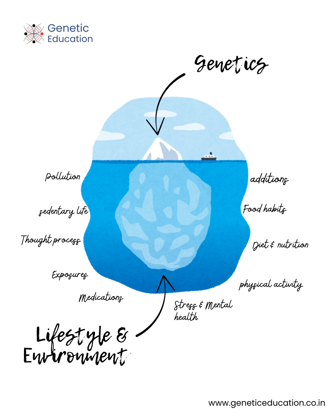 An illustration of genetics and lifestyle & environmental factors.
