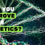 Image used for the article : can you improve your genetics?