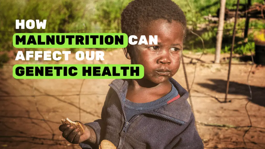Image is used to show how malnutrition can affect our genetic health