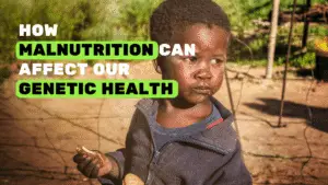 Image is used to show how malnutrition can affect our genetic health
