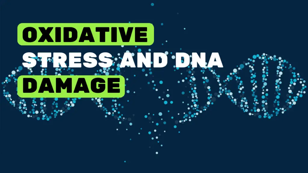 Oxidative stress and DNA damage