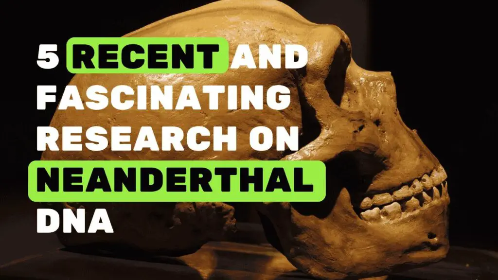 5 recent and fascinating research on neanderthal DNA.