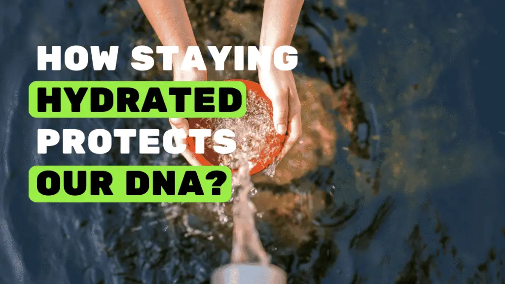 The image illustrates how staying hydrated protects our DNA.