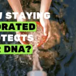 The image illustrates how staying hydrated protects our DNA.