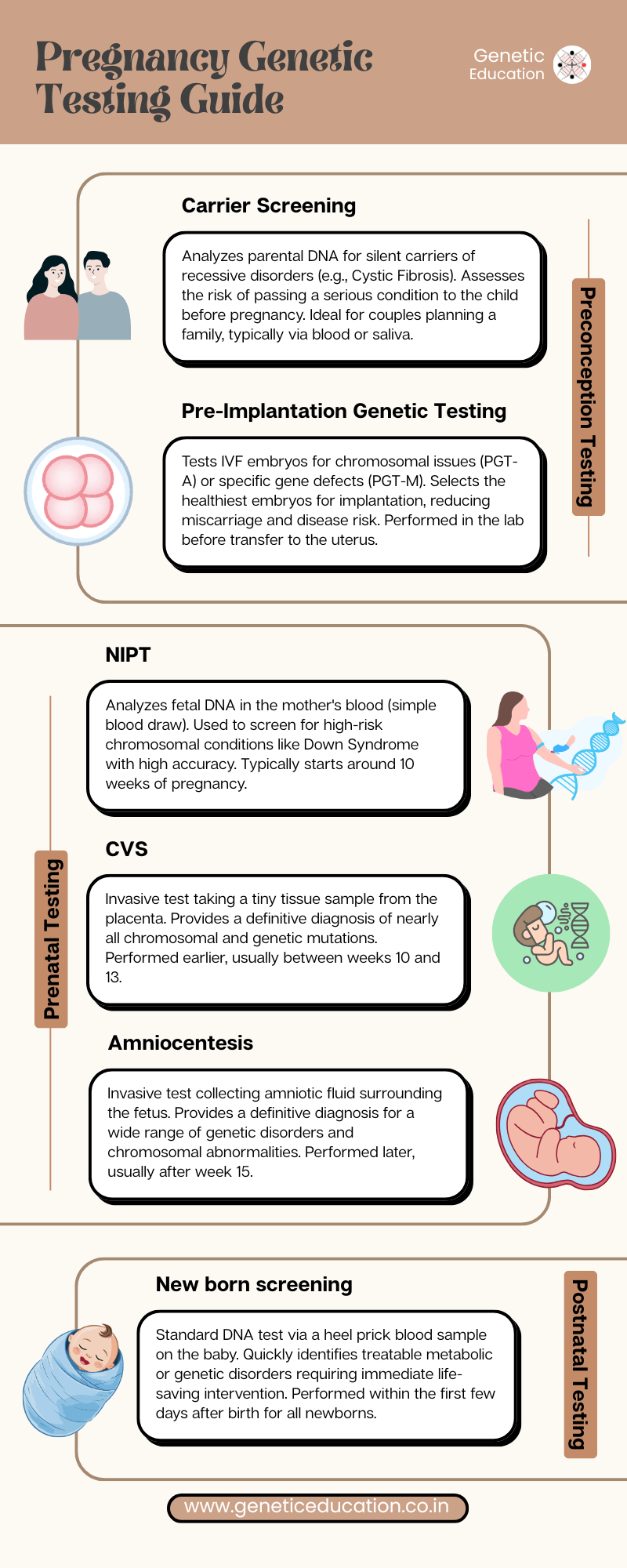 An infographic for pregnancy genetic testing guide. 