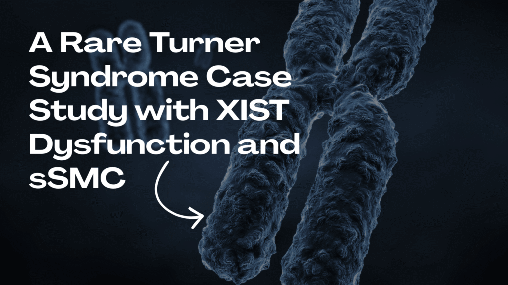 Image used for the sSMC case study.